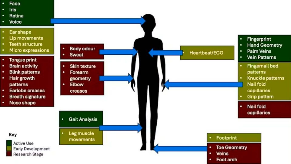 Diagram showing different forms of biometric identification mapped onto a human silhouette. Blue arrows point from labelled body areas to the relevant biometric traits. Categories are colour coded by development stage: green for “Active Use”, yellow for “Early Development”, and red for “Research Stage”. Examples listed include facial recognition, iris, retina and voice; fingerprints, palm veins a