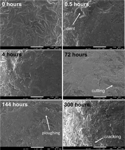 SEM image comparing degradation over different times