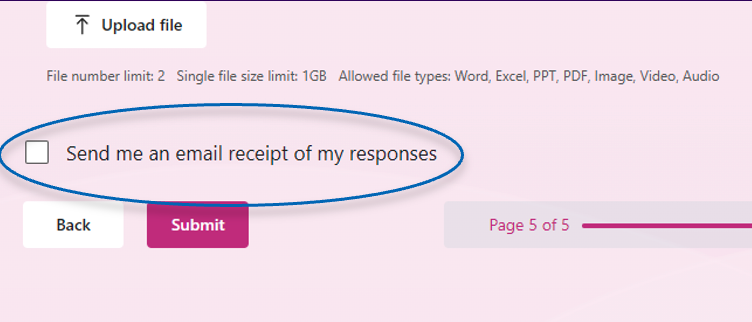 Screengrab of 'send me an email receipt' checkbox