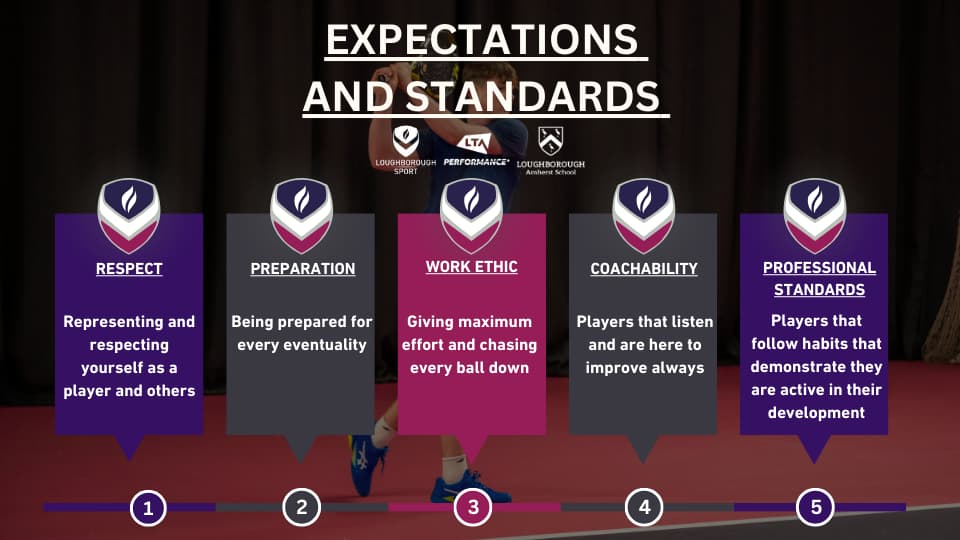 Expectations and Standards graph