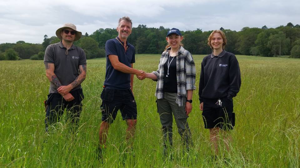 Four people standing in a grass field, two are shaking hands.