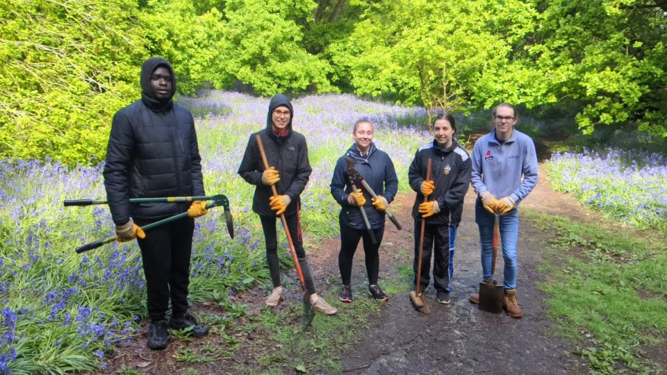 Five gardeners in the Blue Bell Woods